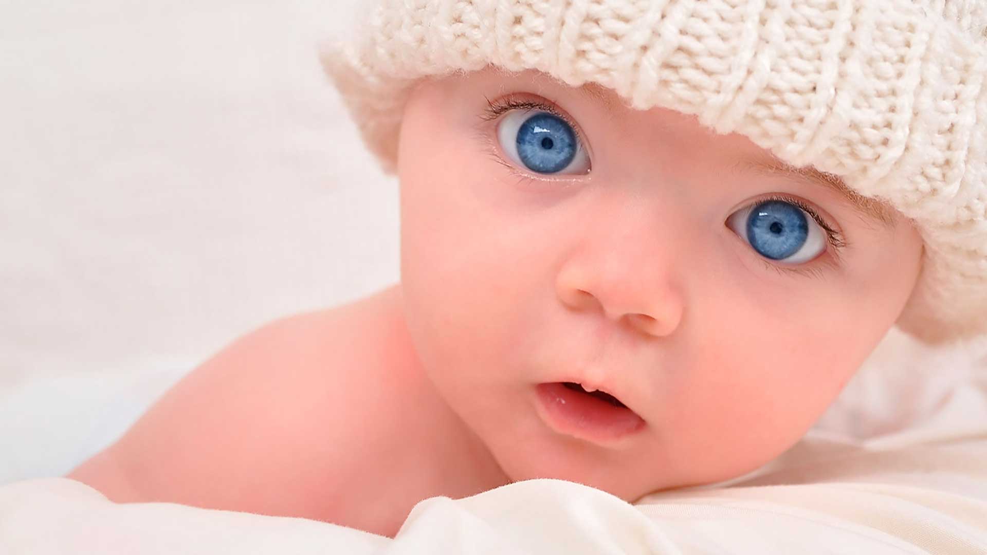 Reprodu&ccedil;&atilde;o Assistida: